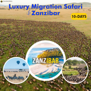 10 Days Luxury Migration Safari & Zanzibar