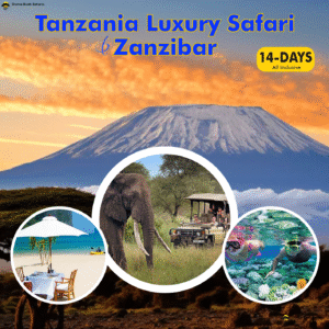14 day tanzania luxury safari & zanzibar ( All inclusive)