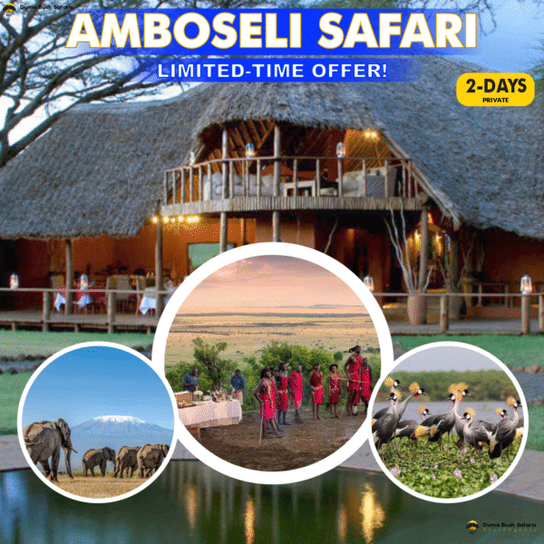 Private 2-Day Amboseli Safari — Limited-Time Offer!