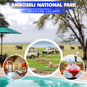Weekend Escape to Amboseli National Park