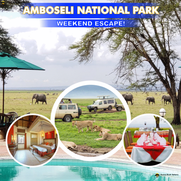 Weekend Escape to Amboseli National Park