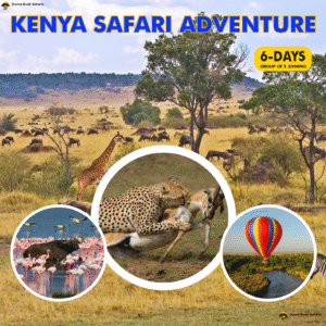 6-Day Kenya Safari Adventure (Budget Group Joining)
