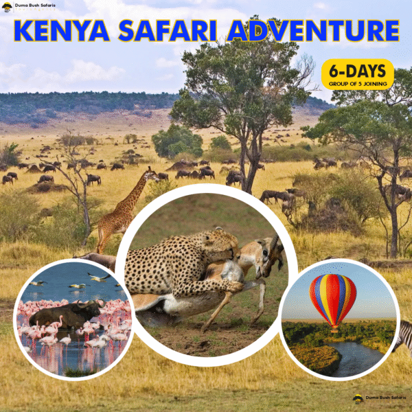 6-Day Kenya Safari Adventure (Budget Group Joining)
