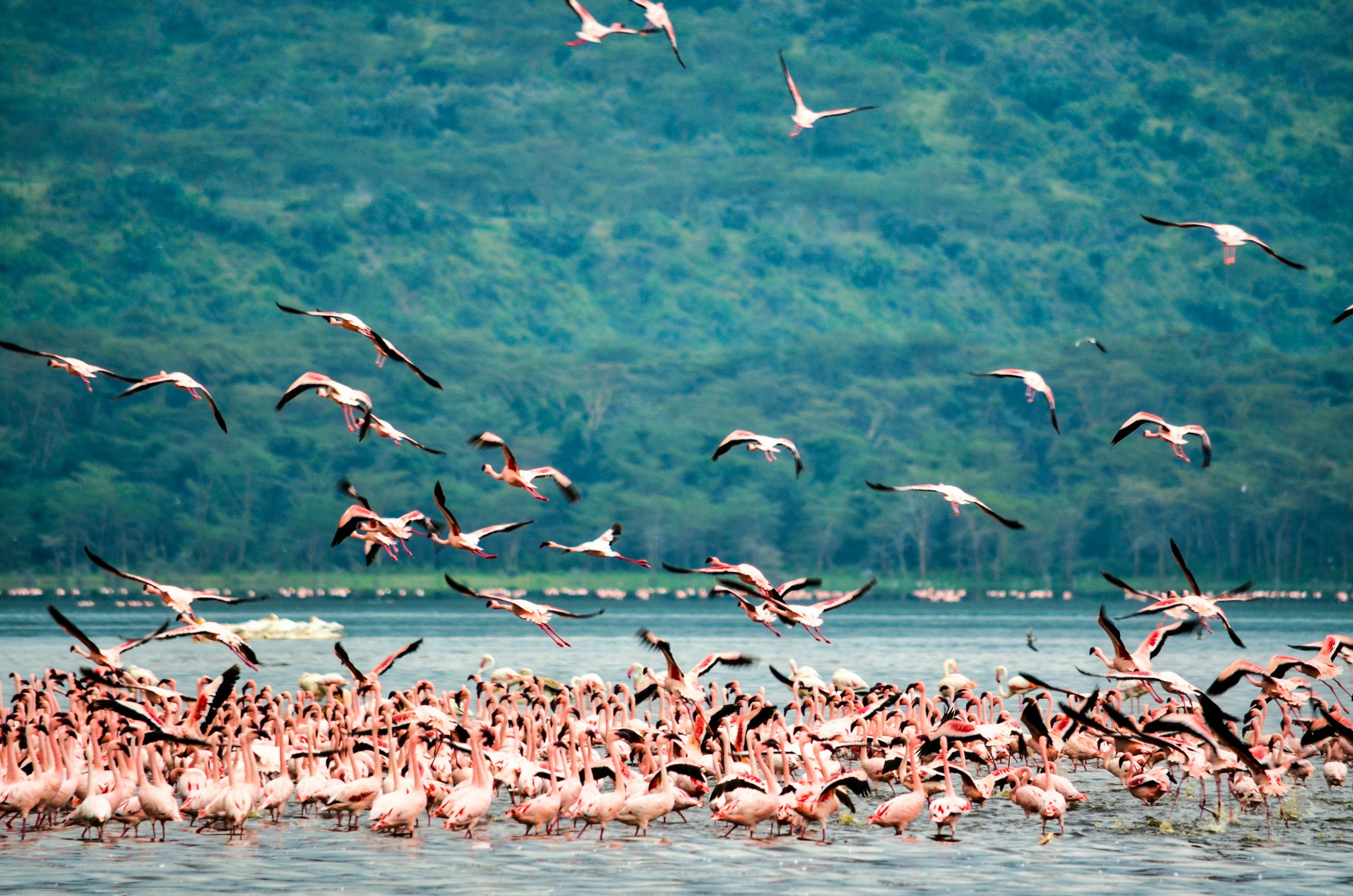 bibhash-polygon-cafe-banerjee-3QPNiZ_Nqjs-unsplash