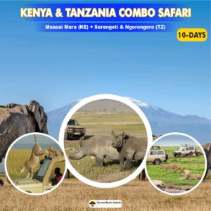 Kenya & Tanzania Combo Safari