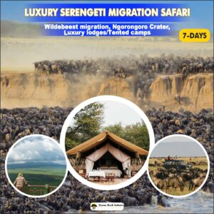 Luxury Serengeti Migration Safari (7 Days)