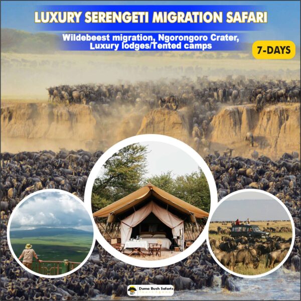 Luxury Serengeti Migration Safari (7 Days)