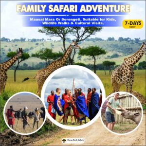 Family Safari Adventure (7 Days)