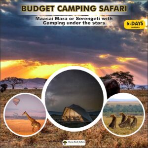 Budget Camping Safari (6 Days)