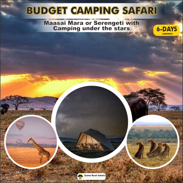 Budget Camping Safari (6 Days)