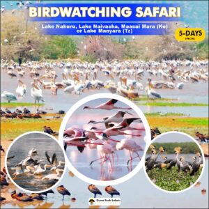 Birdwatching Safari Special (5 Days)