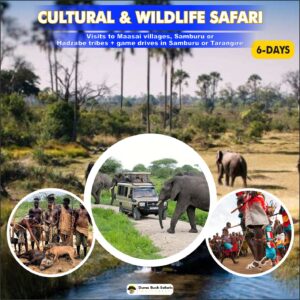 Cultural & Wildlife Safari (6 Days)